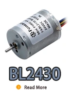 BL2430I、BL2430、B2430M、24 mm小さな内側ローターブラシレスDC電動モーター.webp